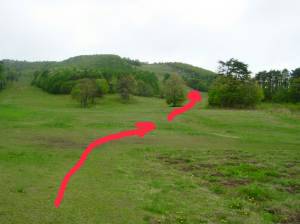 GERENDE.JPG - 8,627BYTES