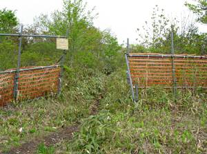 GERENDEUE.JPG - 53,703BYTES