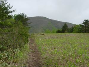 USAGIDAIRA.JPG - 45,782BYTES